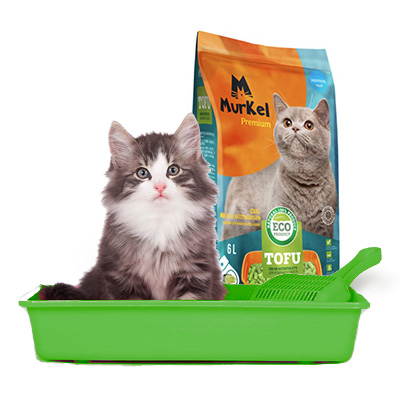 Гигиена и туалет