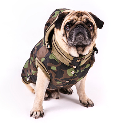 Уход за животными